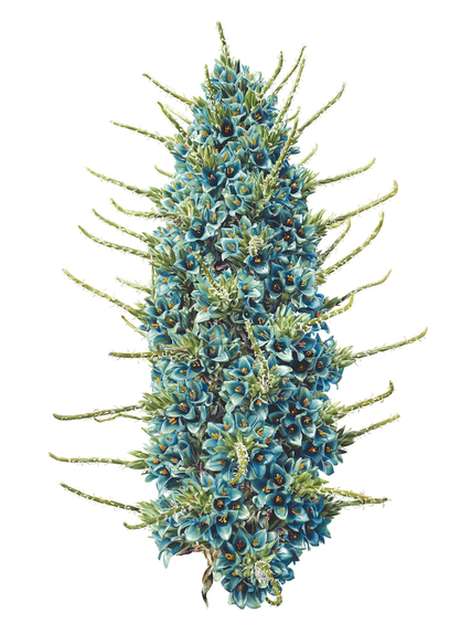 Blue Flame