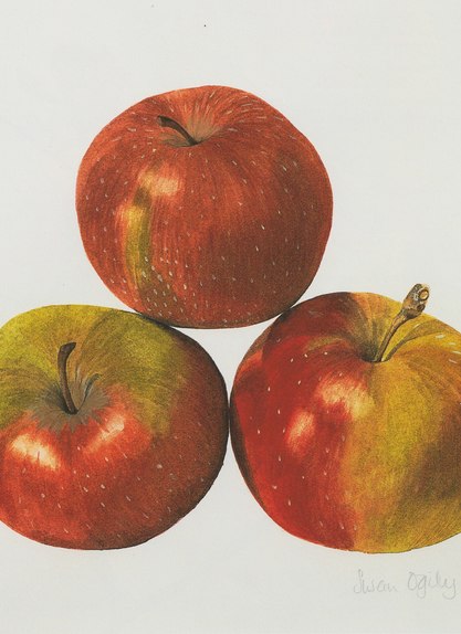 Three Apples