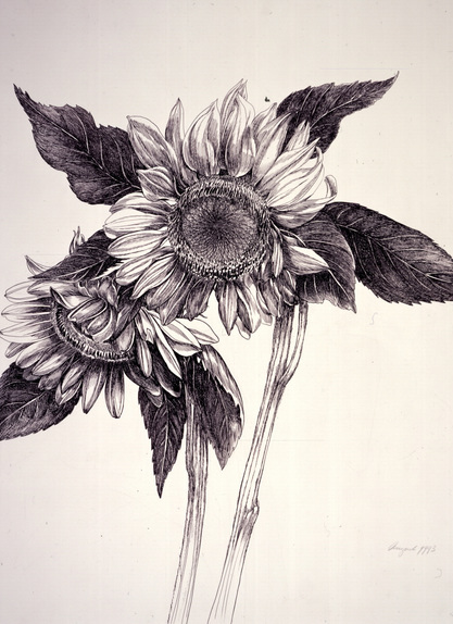 Sunflowers SeriesNo. 1