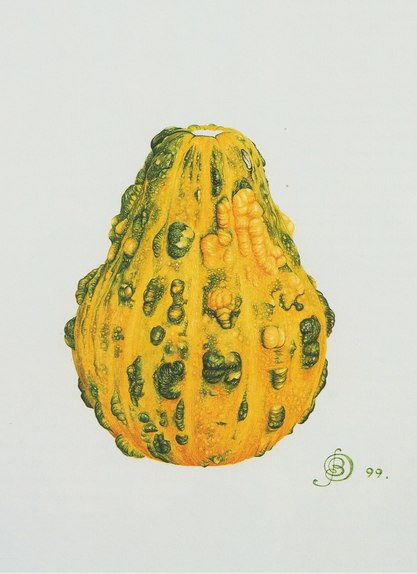 PearShaped Yellow Warted Ornamental Gourd