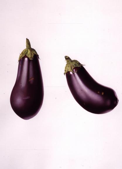 Aubergine
