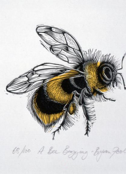 A Bee buzzing