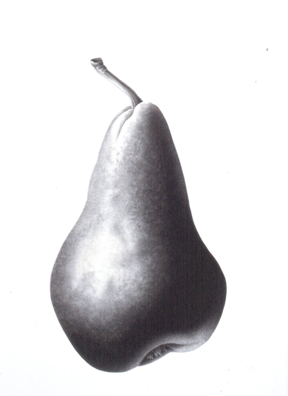 Pear Study 1